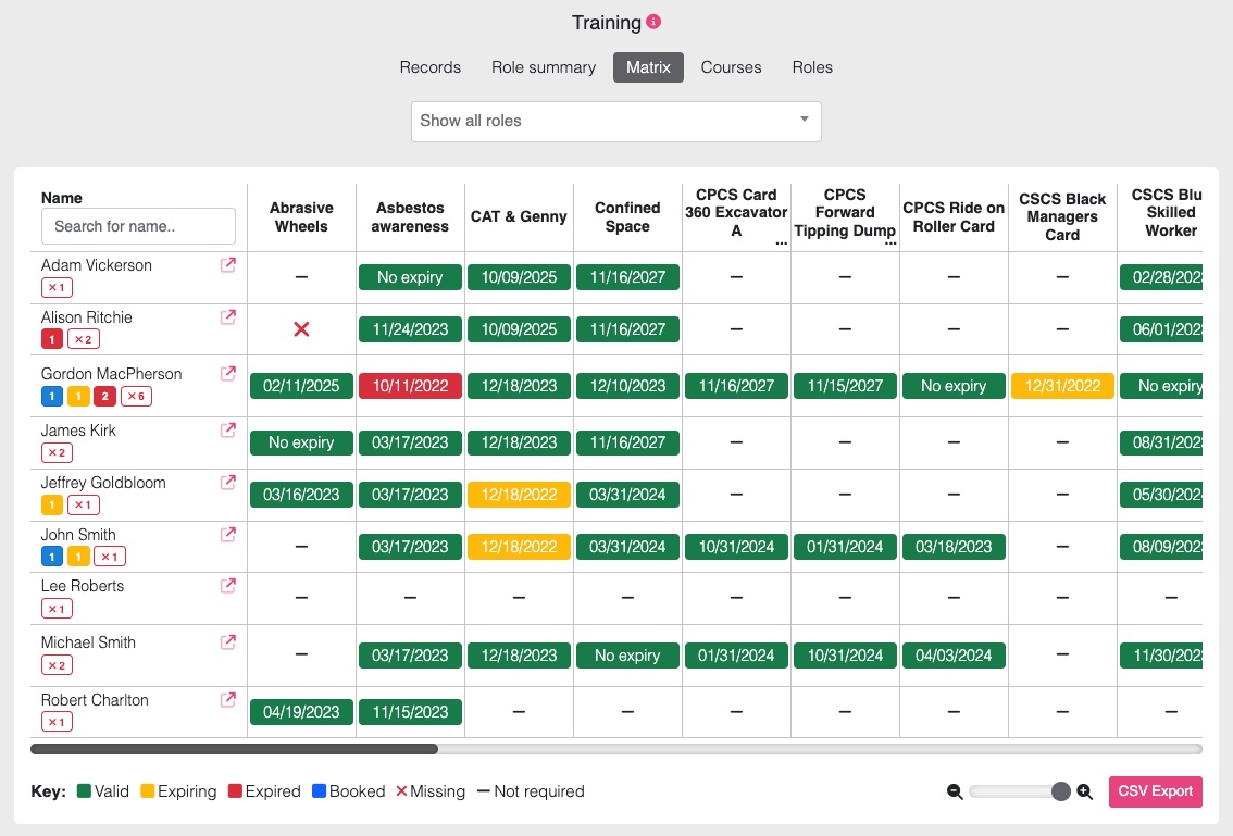 Screen of a software training matrix with personnel names, training types and colour coded record dates that indicate whether a record is missing, valid, expiring or expired.