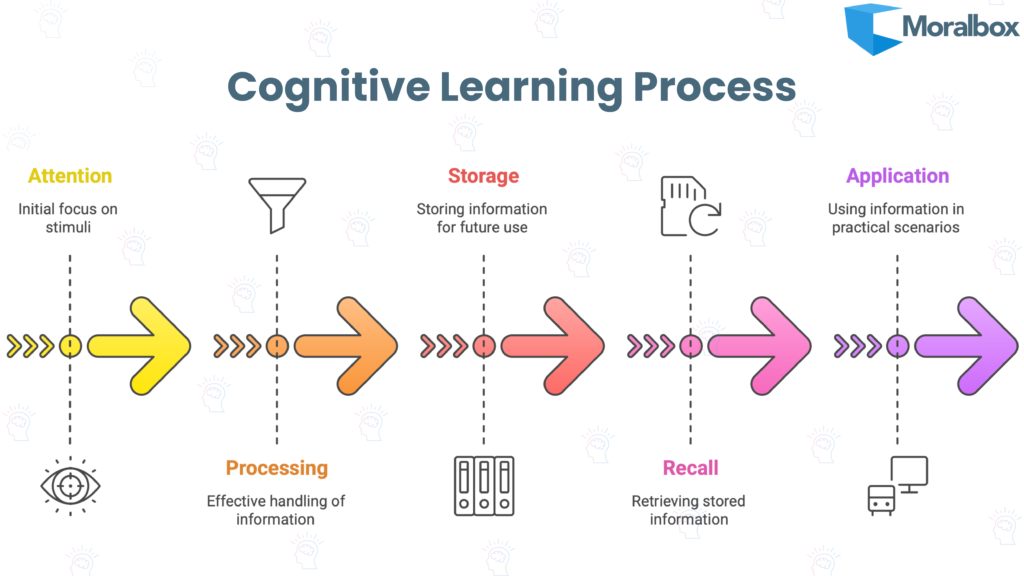 Infographic showing the five stages of the cognitive learning process: Attention, Processing, Storage, Recall, and Application, connected in a circular flow with arrows.